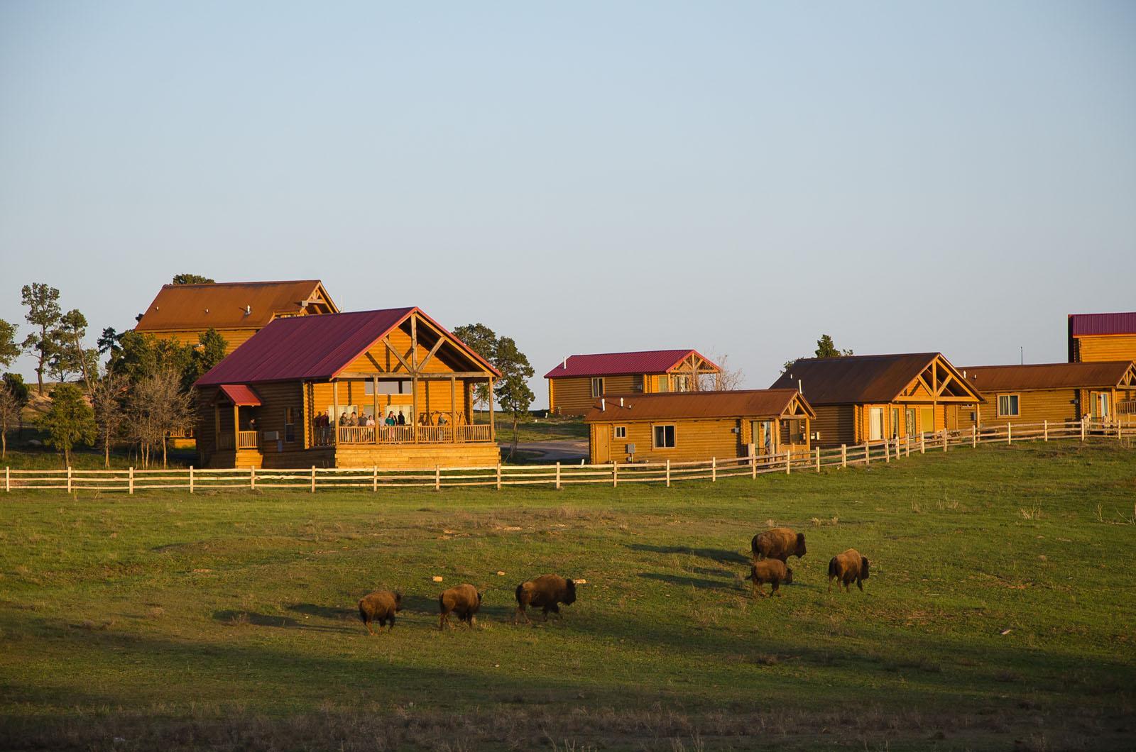Zion Mountain Ranch Hotel Маунт Кармел Джънкшън Екстериор снимка