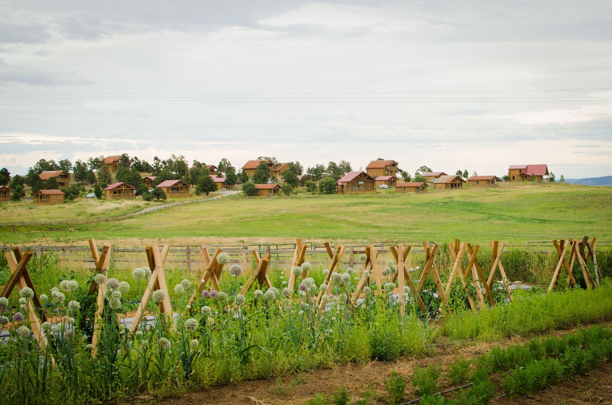 Zion Mountain Ranch Hotel Маунт Кармел Джънкшън Екстериор снимка